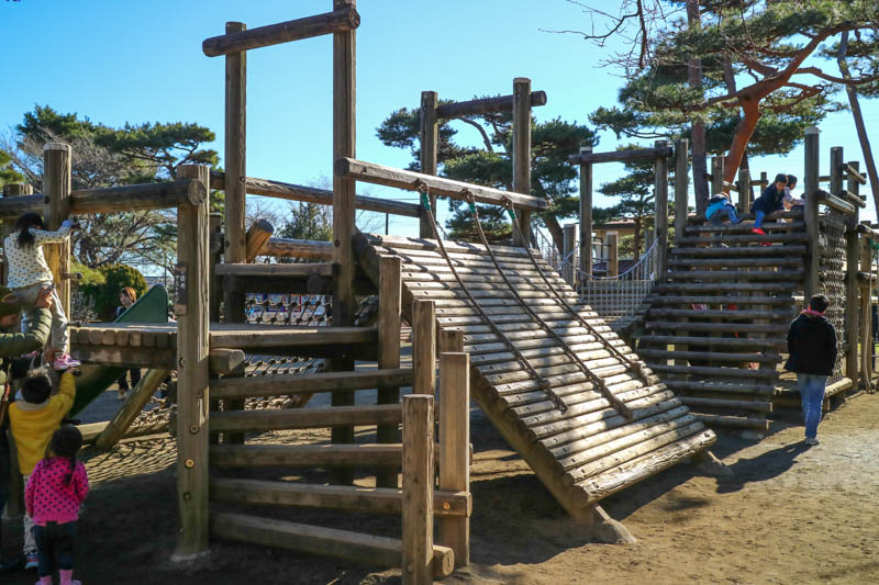 img_1632-saiboku-201612