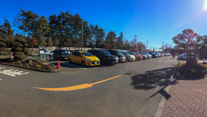 img_8991-saiboku-201612